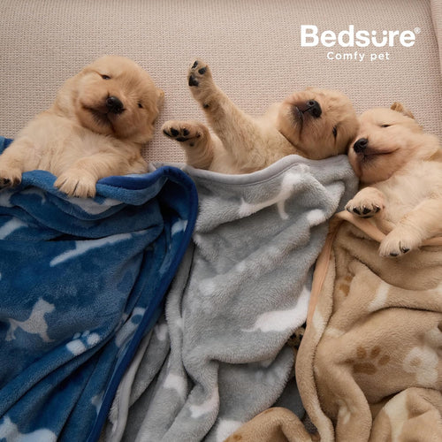 Bedsure Dog Blanket for Small Dogs Puppy, Flannel Fleece, 3-Pack 30x20 | 280GSM Coral Fleece,Machine Washable Fuzzy Pet Blanket with Dog Prints for Crate Cage, Dog Bed,Puppy Essentials,Doggy Gifts